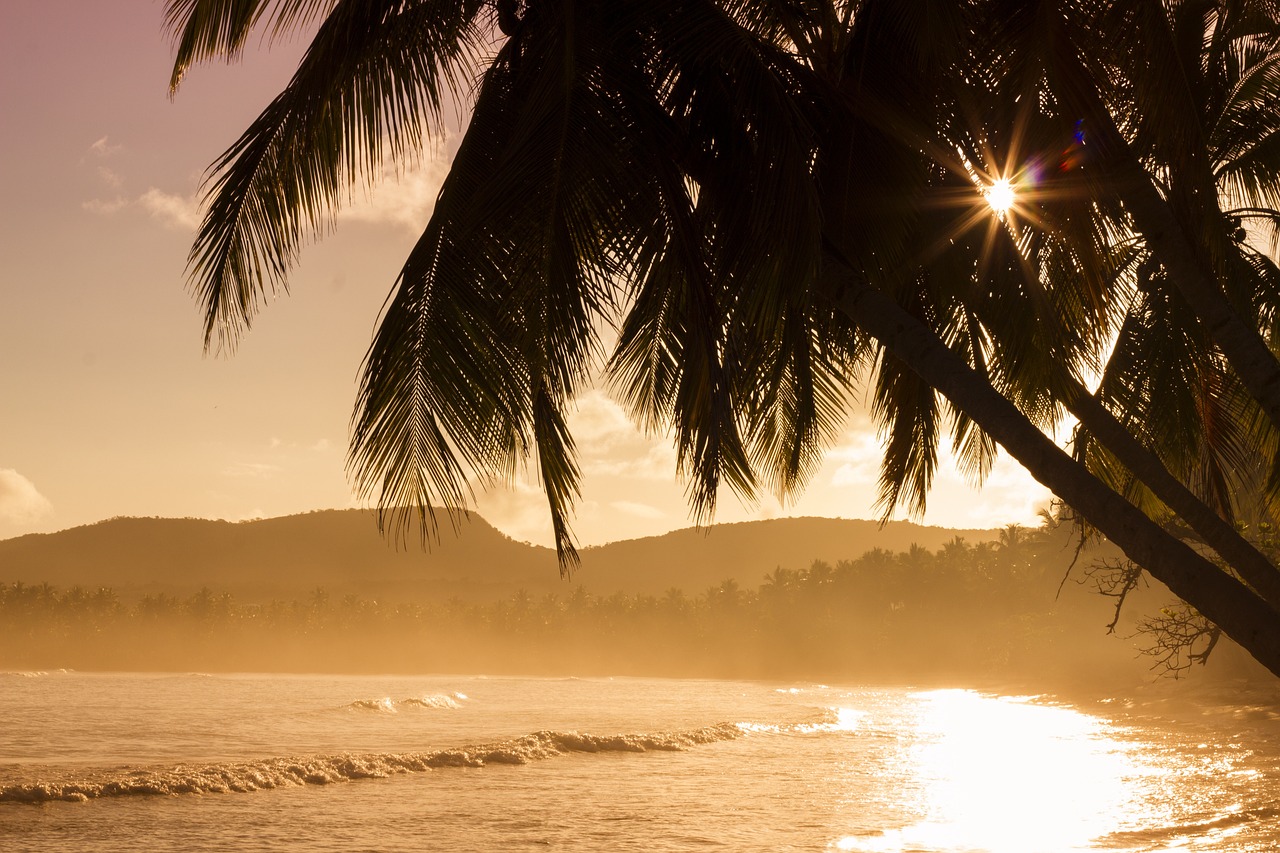 beach sea waves ocean waves island tropical island palm trees coast coastline shore nature ocean palms trees seashore sunrise sunset water beach beach island palm trees palm trees palm trees palm trees palm trees trees