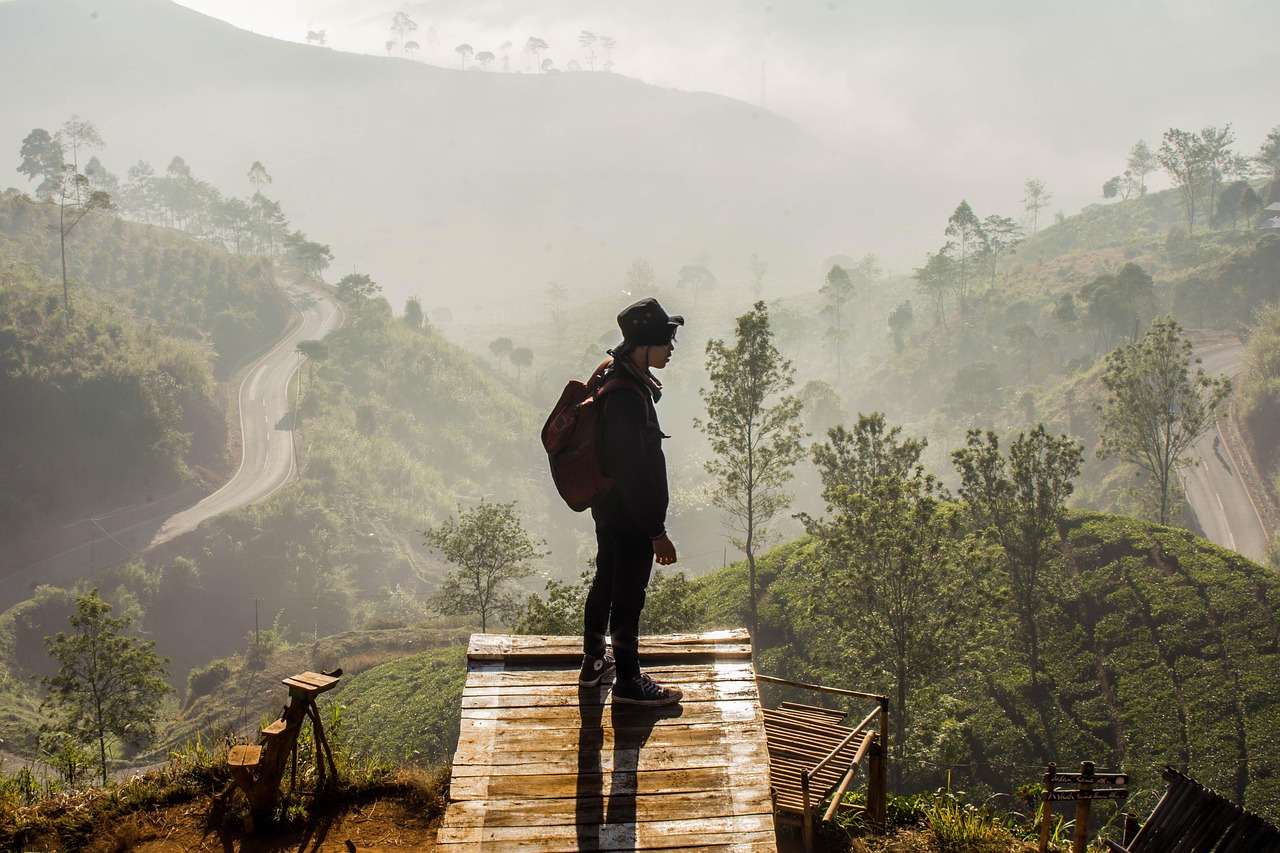 man view bandung indonesia sunrise landscape nature green fog asia java outdoor explore walker tree mood calm trees foggy pangalengan morning sunset people indonesia indonesia indonesia indonesia explore explore explore explore explore calm calm people