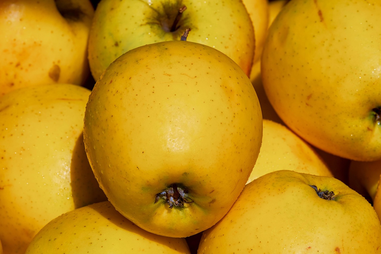 apples golden delicious fruit vitamins tasty fresh cute food vitaminhaltig juicy market stall golden delicious golden delicious golden delicious golden delicious golden delicious