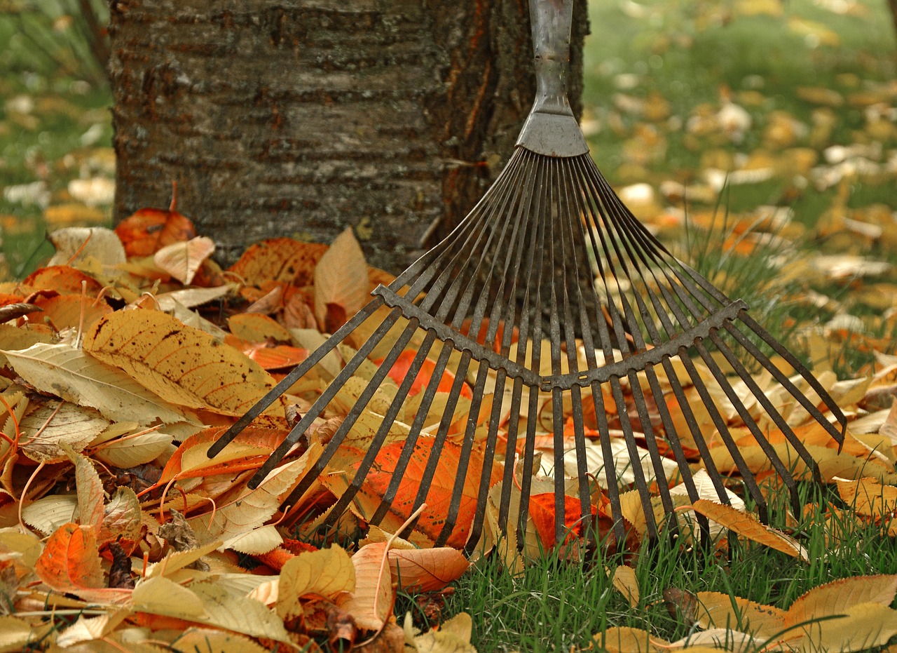 computing nature raking leaves tool garden gardening fall leaves autumn leaves gardener
