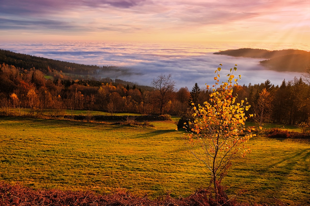 nature fall outdoors season field rural fog sea of clouds afterglow sea of fog sunset fall fall fall fall fall