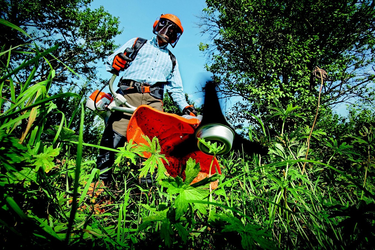garden grass cutter gardening grass man outdoors nature person tools gardener green grass
