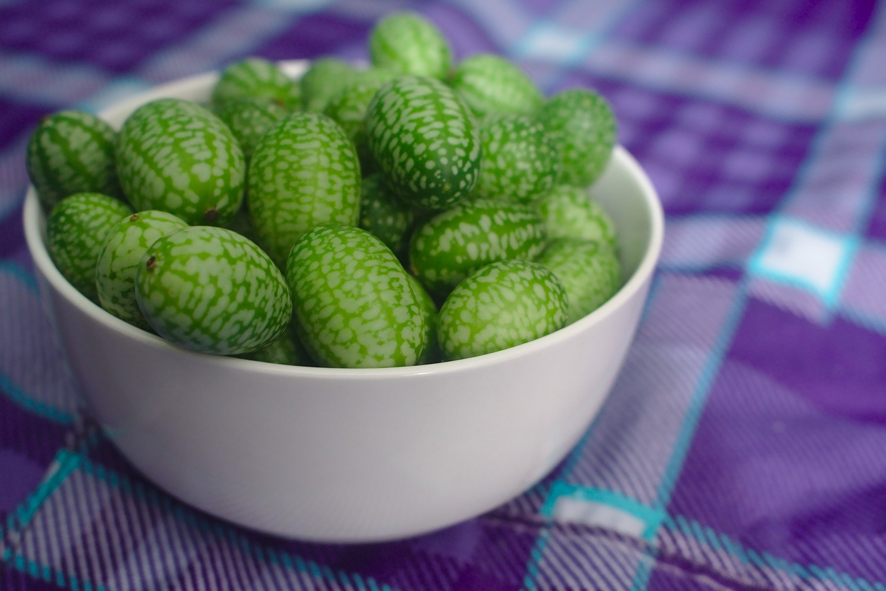 gherkin tiny small mexican sour gherkin melothria scabra cucamelon cucumber green purple vegetable natural raw freshness healthy organic vegan vegetarian delicious bowl healthy snack cucamelon cucamelon cucamelon cucamelon cucamelon