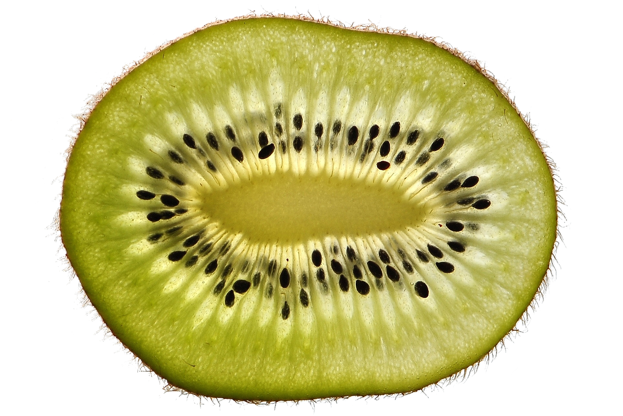 kiwi fruit half cross section seeds kiwi seeds green fresh ripe organic food delicious eat healthy cut out close up kiwi kiwi kiwi kiwi kiwi