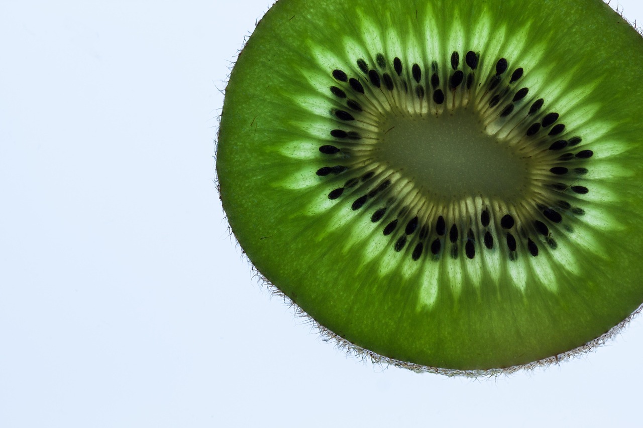 kiwi fruit green fresh transmitted light macro ripe cross section kiwi half close up kiwi seeds kiwi kiwi kiwi kiwi kiwi