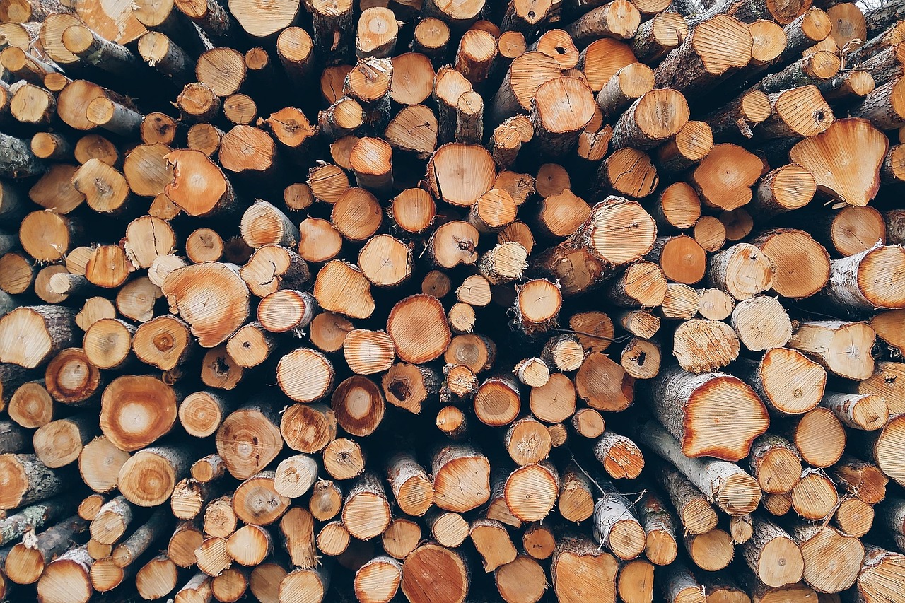 wood pile logs bole firewood pieces of timber woodpile wooden timber forestry texture deforestation material wooden logs wood wood wood wood wood logs firewood timber