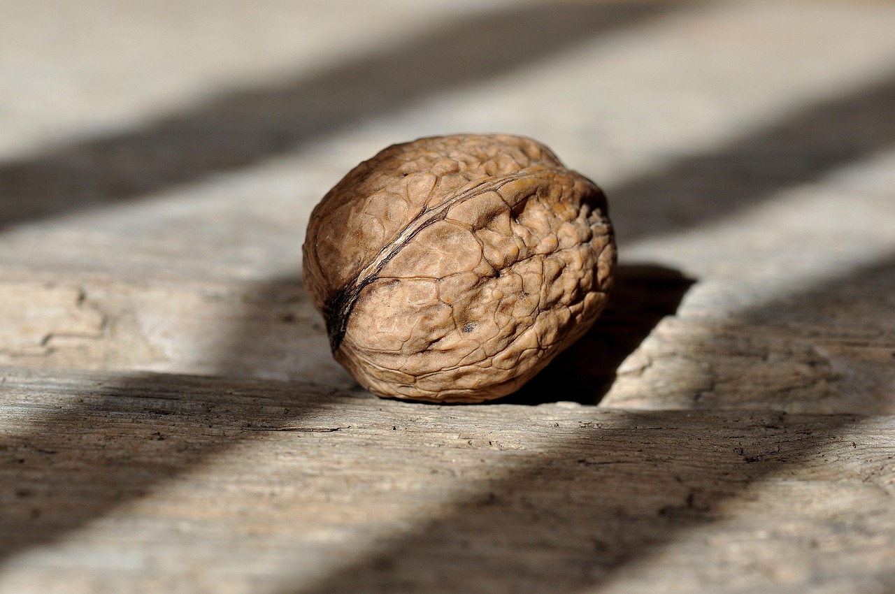 walnut nut nuts healthy yummy natural product wooden floor light and shadow walnut walnut walnut walnut walnut nut nut nut nuts nuts