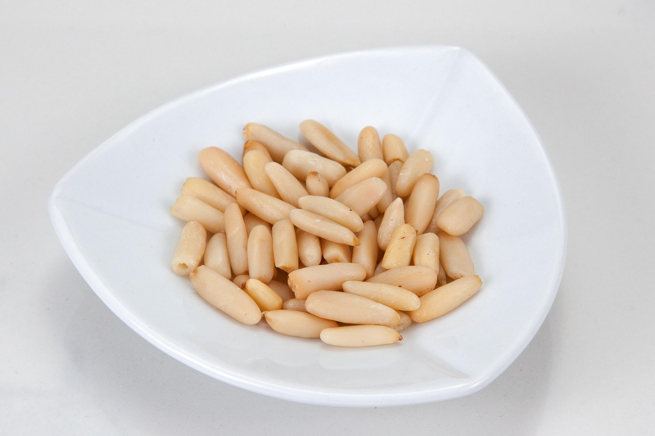 pine nuts cook food kitchen ingredients pine trees pine nuts pine nuts pine nuts pine nuts pine nuts