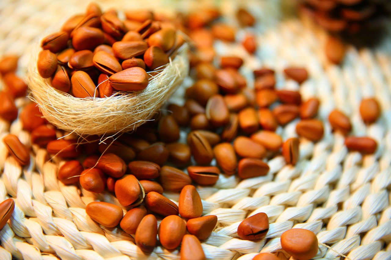 pine nuts nut protein pine nuts pine nuts pine nuts pine nuts pine nuts