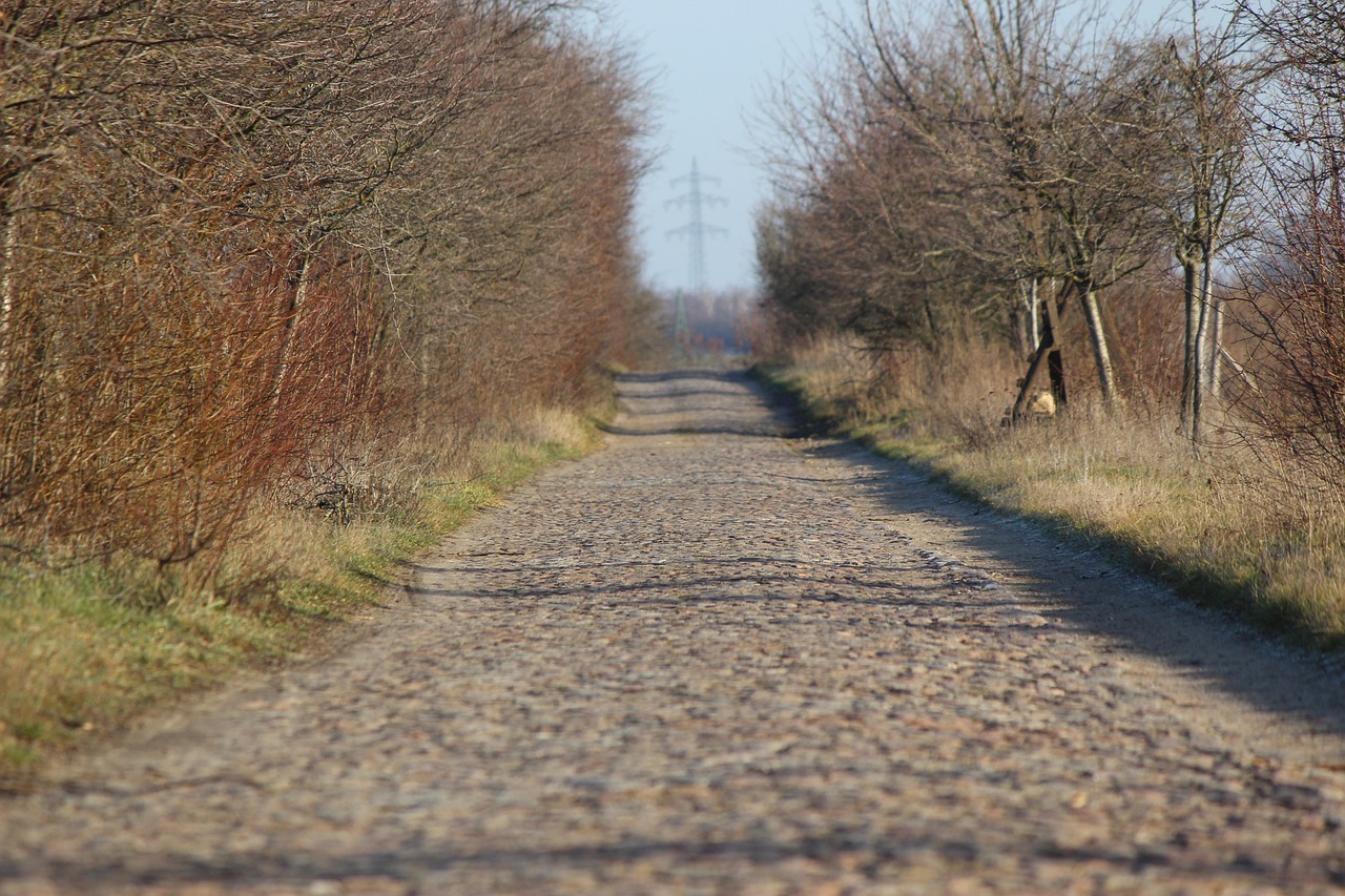 cobblestone street route between two places not an often used way