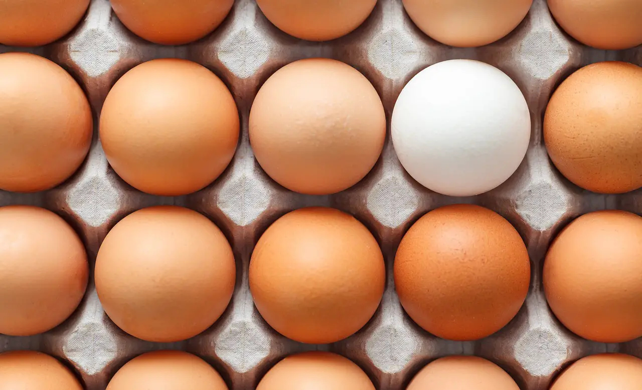 box breakfast brown cooking different egg food fresh natural organic raw different different different different different