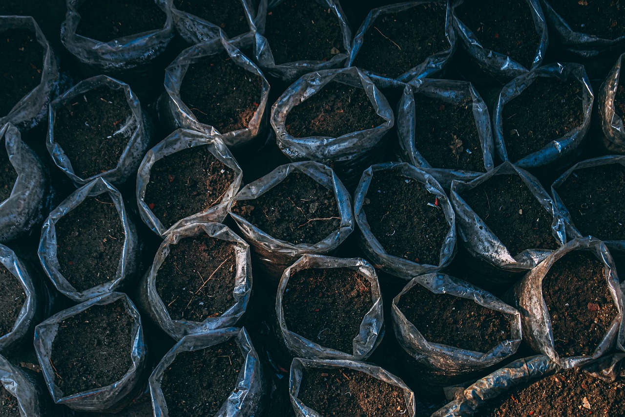 soil pot plants plantation growth nature dirt soil soil soil soil soil