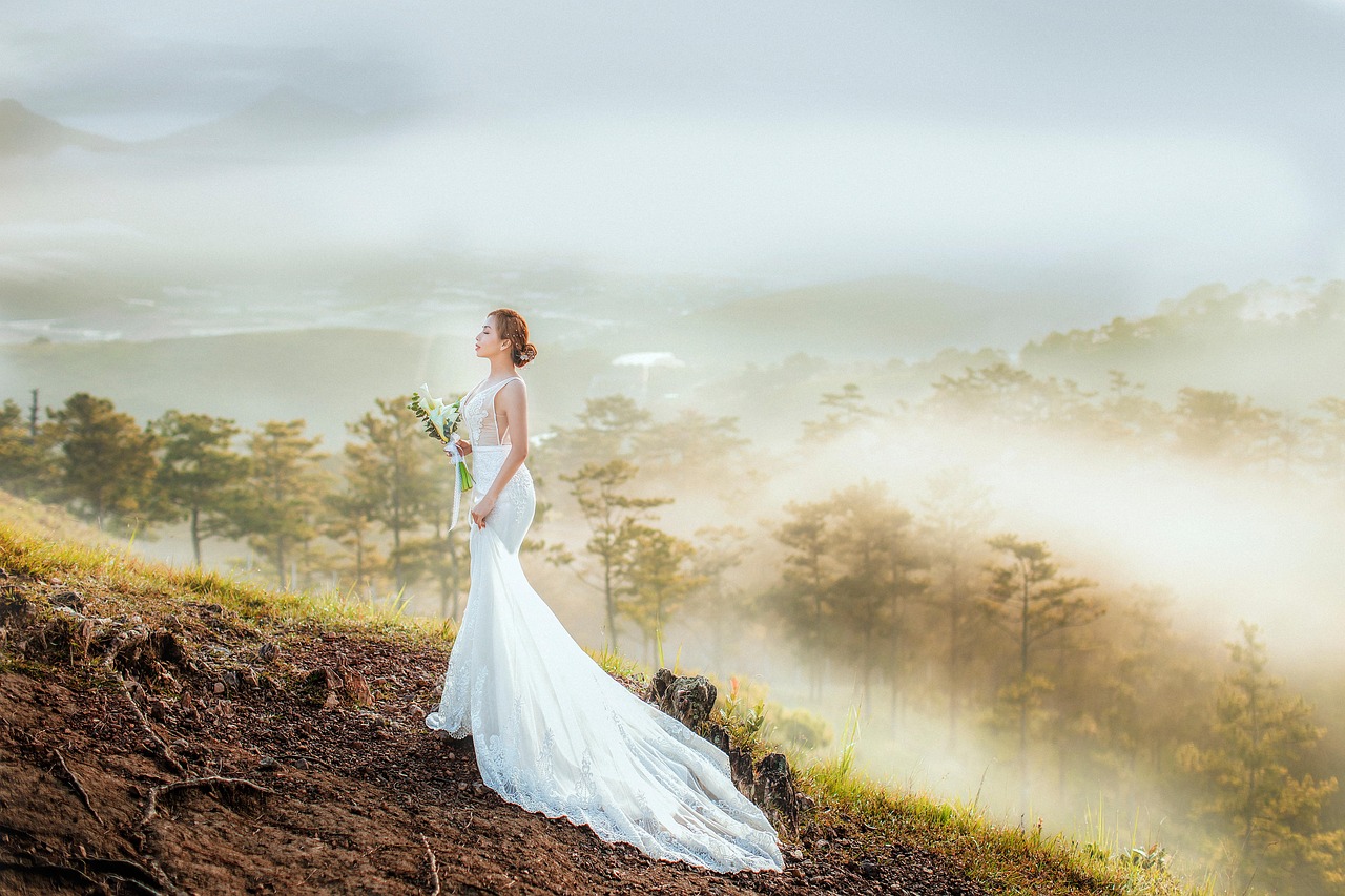 bride wedding wedding dress forest woods haze nature dawn bride bride bride bride wedding wedding wedding wedding wedding wedding dress wedding dress wedding dress