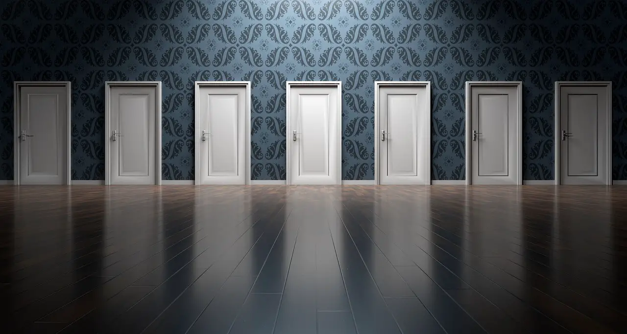 doors choices choose decision opportunity choosing option entrance decide doorway select alternative future entering chance exit confusion labyrinth complexity maze wayout doors doors doors doors doors choices decision opportunity future future future future maze