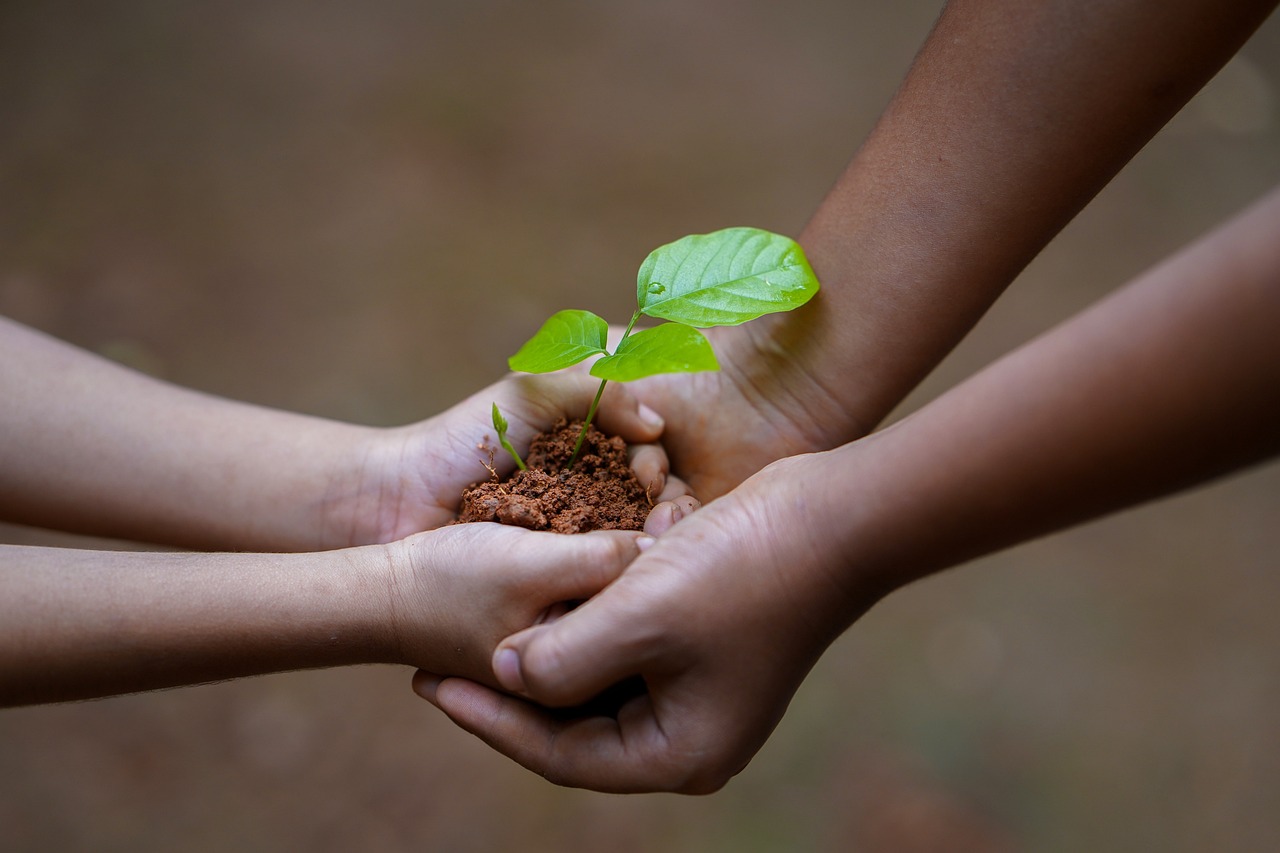 hands soil plant environment growth nature dirt agriculture tree care seedling protection seed cultivated sapling gardening hope idea concept humans people share help giving passing earth day share help giving giving earth day earth day earth day earth day earth day