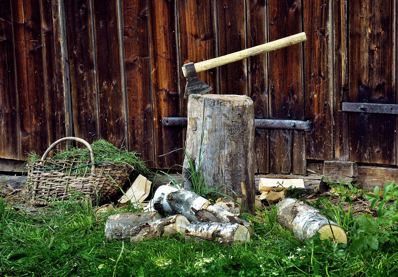 opal wood axe robbery nature logs tree