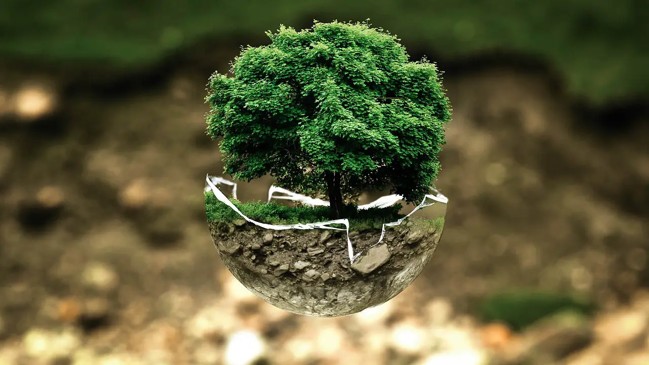 environmental protection environment the atmosphere fragile surreal tree nature natural reserve sensitive forest dieback forests leaves grow green good ecology eco bio glass sphere forest green organic life earth tree protection biology ecological balance environmental pollution bonsai deciduous tree tree die environmental protection environment environment environment environment tree tree forest life earth earth earth earth earth