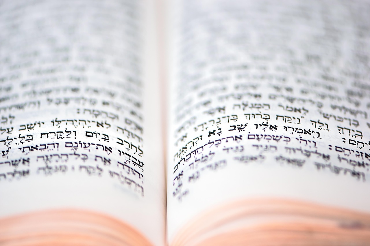 torah religion holy scripture judaism jewish literature today rows jewish bible a book chapter new page synagogue read studying wisdom hebrew text hebrew letters old-timer mitzvah praying hope peace love text arrangment inside torah torah torah torah torah