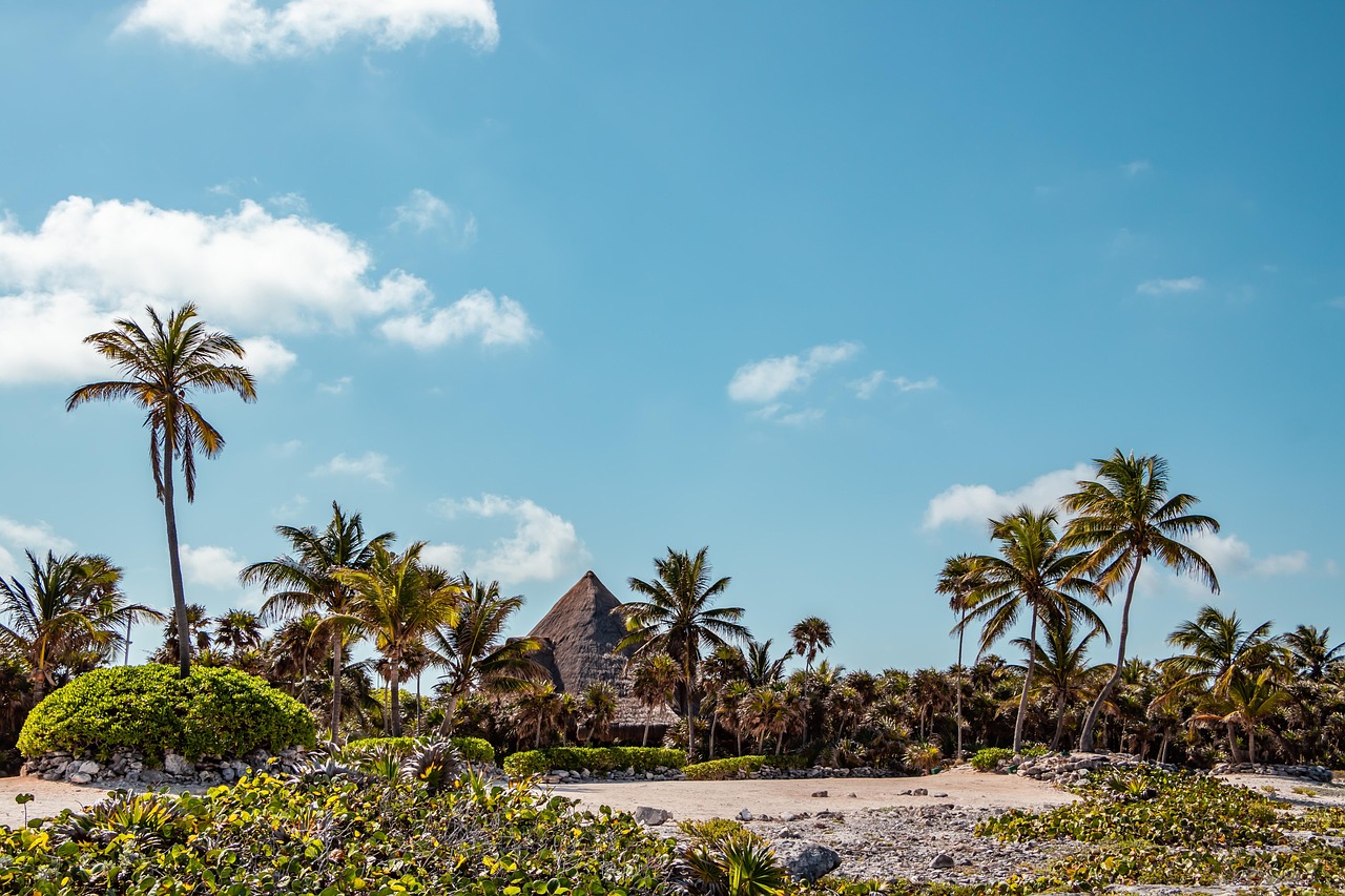 tropical beach akumal quintana roo mexico landscape holiday rivera maya sand nature maya