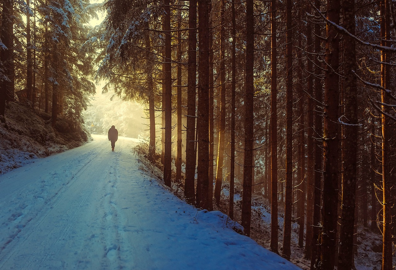 winter snow person walk walking trees forest woods woodlands trunks tree trunks undergrowth snowy snow covered sunrise dawn hiking landscape scenic road path nature outdoors countryside rural wilderness sunlight winter snow walk walk walk walking walking walking walking walking hiking hiking hiking