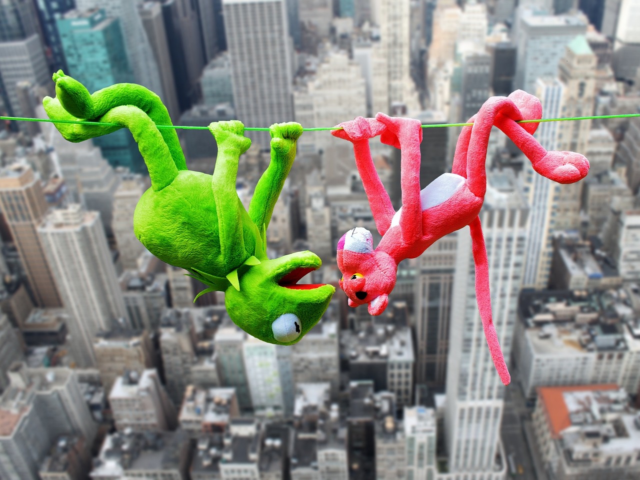 the pink panter plush toys kermit high ropes height hang kermit kermit kermit kermit kermit