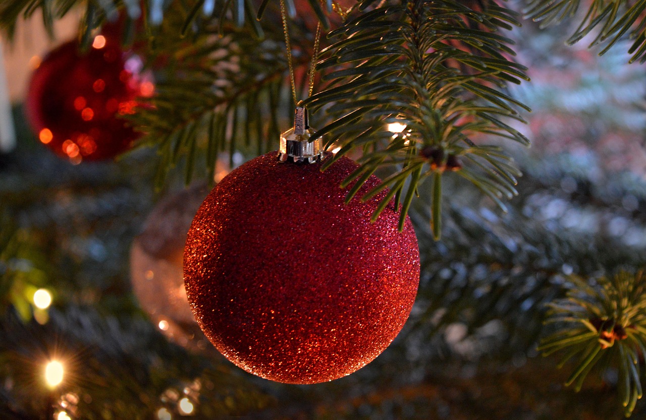 christmas tree christmas ornament decoration season christmas motif christmas decorations red ball red bauble myfestiveseason germany christmas time red christmas balls christmas eve decorated fir tree red balls fir tree decorations christmas decoration christmas tree decorations fir branch christmas tree christmas tree christmas tree christmas christmas christmas christmas christmas