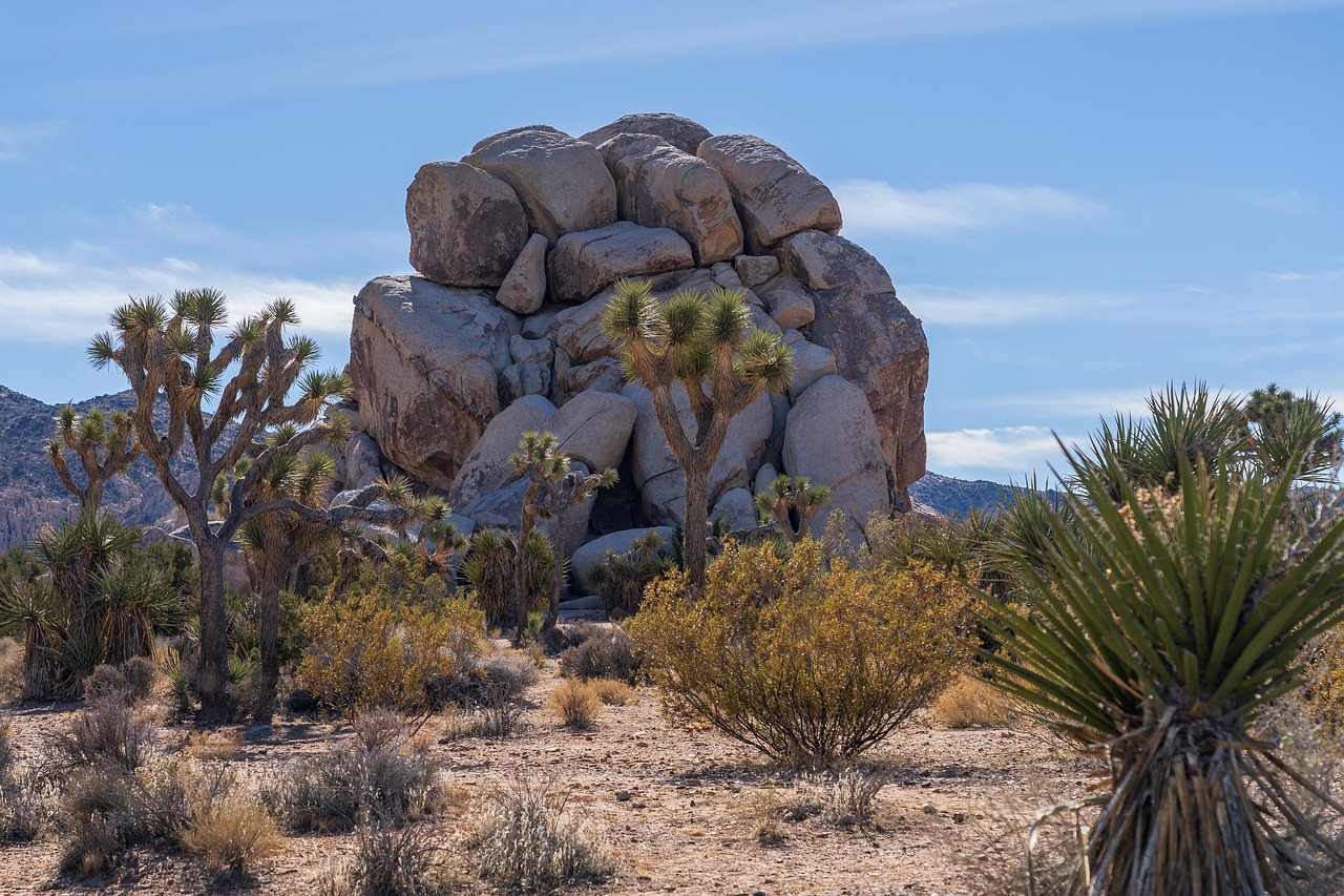 rock desert nature boulder joshua tree