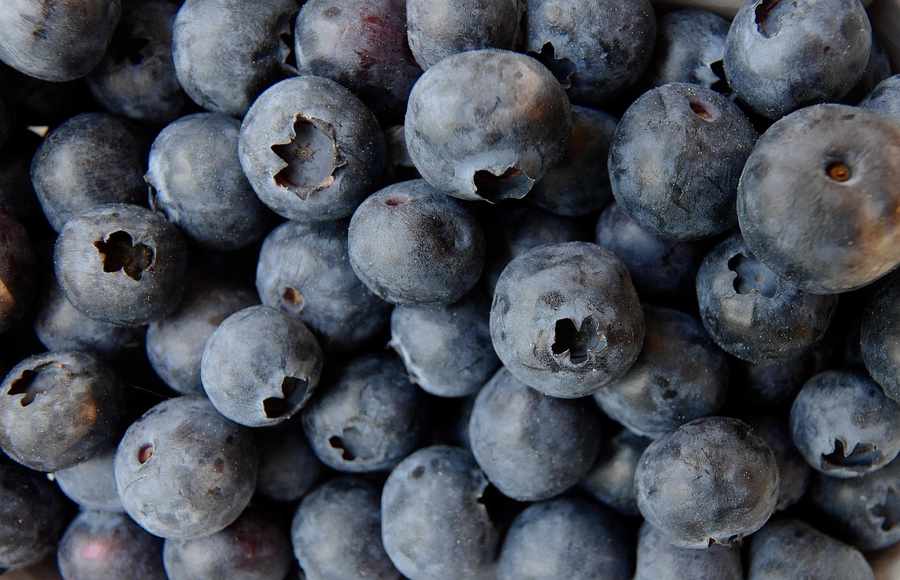 blueberry blueberries food fruit berry healthy blue lots blueberry blueberry blueberry blueberry blueberries blueberries blueberries blueberries blueberries