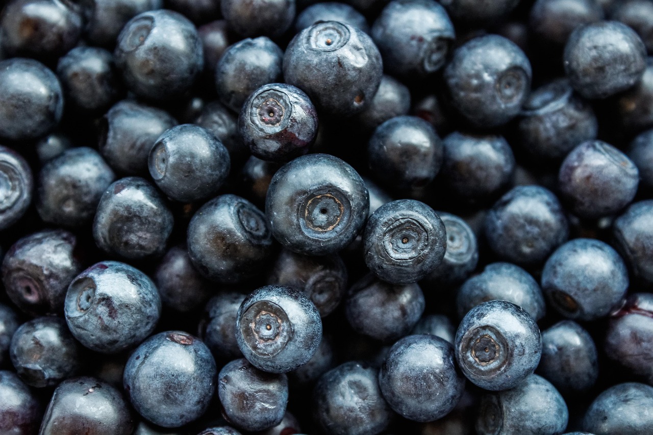 blueberry berry fruit vitamins nutrition dessert sweet healthy eco fresh blueberry blueberry blueberry blueberry blueberry