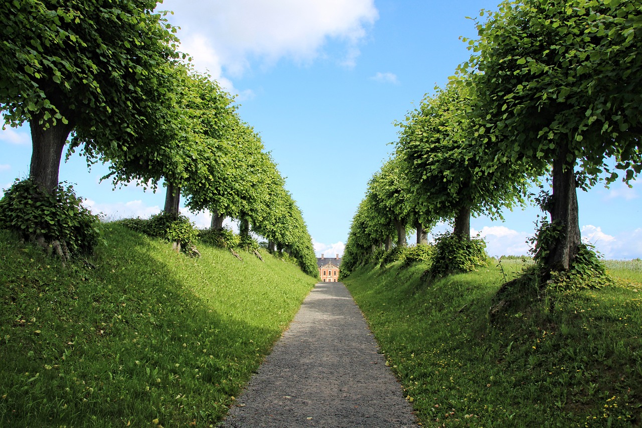 castle avenue trees nature heaven garden architecture perspective bothmer linden tree green castle heaven garden garden garden garden garden