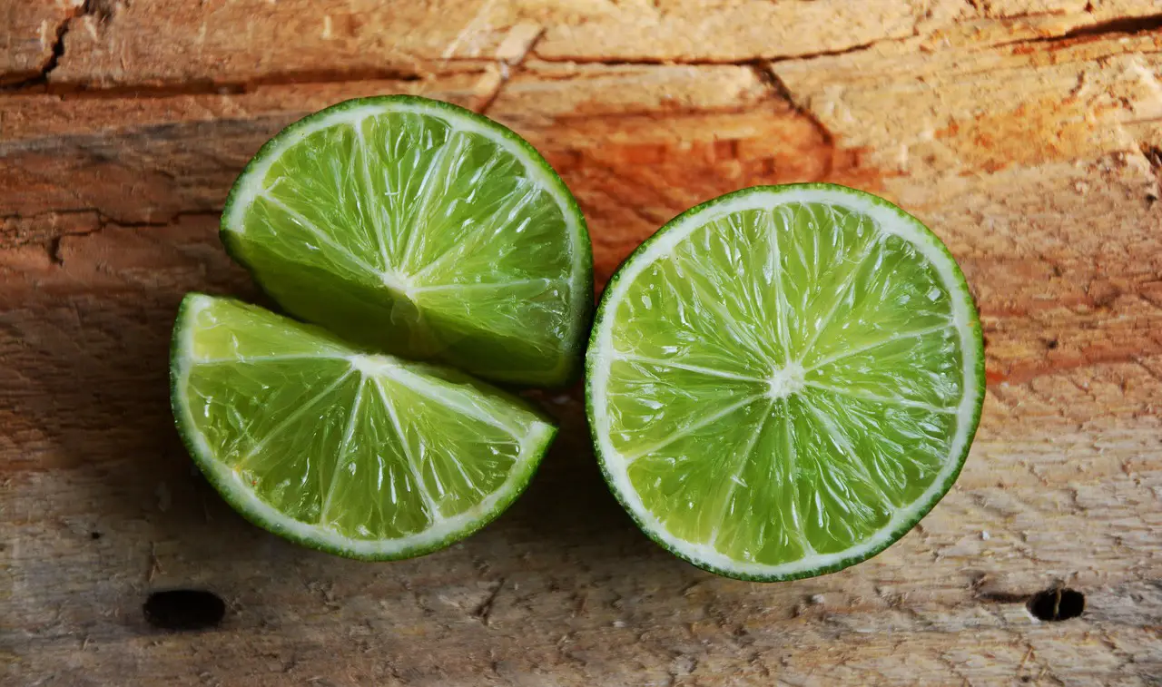 lime citrus fruit angry green vitamins limes fruit citrus fresh healthy fruity vitamin c vitaminhaltig lime lime lime lime lime fruit fruit fruit