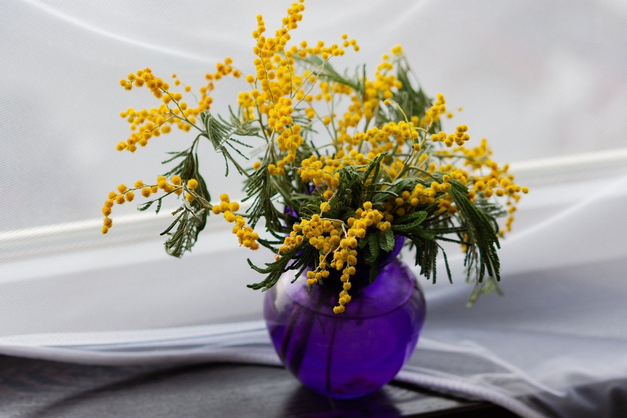 mimosa yellow flowers vase flower arrangement floral arrangement bunch bunch of flowers flower vase purple vase still life spring flowers vase flower arrangement flower vase still life still life still life still life still life