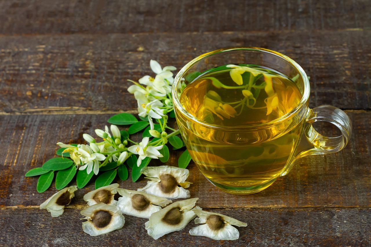 herbal tea tea moringa tea hot drink moringa oleifera refreshment herbal tea moringa tea moringa tea moringa tea moringa tea moringa tea moringa oleifera