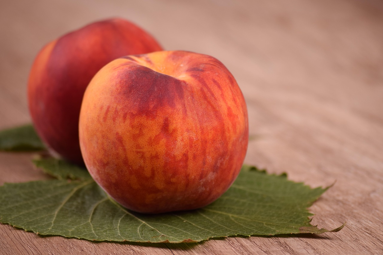 food peach nectarine fruit fruits healthy food deciduous juicy sweet red healthy fresh organic raw vitamin tasty vegetarian vegan diet juice dieting summer fruit brown food brown summer brown healthy brown fruits brown diet peach peach peach peach peach