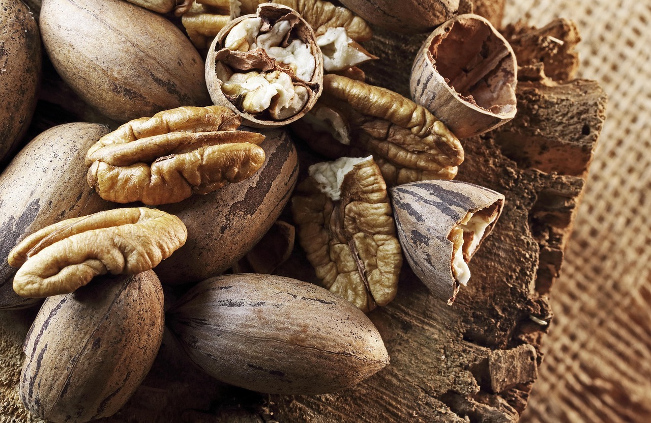 pecan nuts nuts ripe shelled raw snack crop produce close up brown