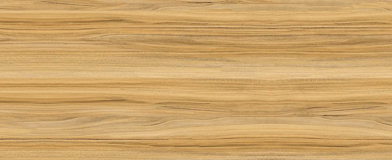trees wood nature yellow wood oak sandalwood teak wood grain