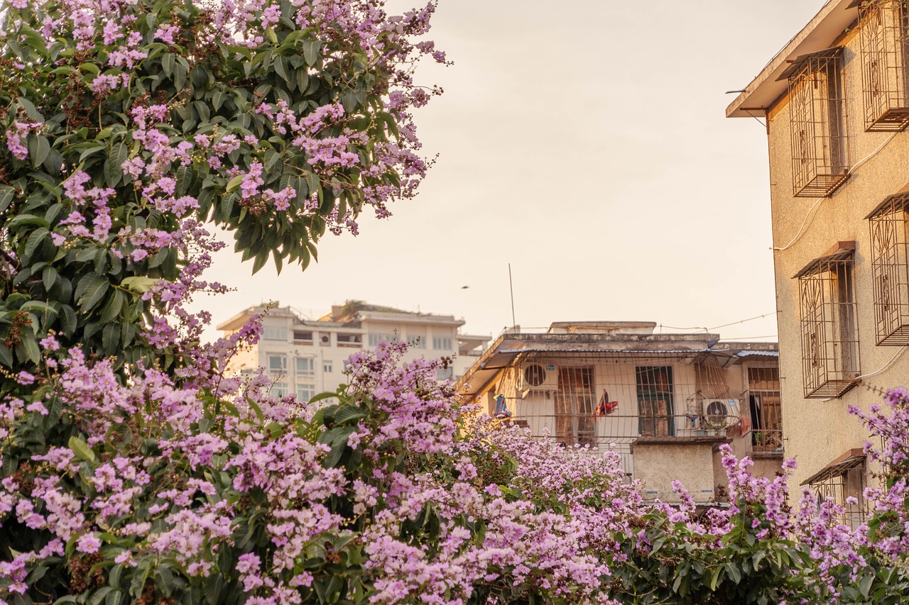 redbud twilight residential area redbud residential area residential area residential area residential area residential area