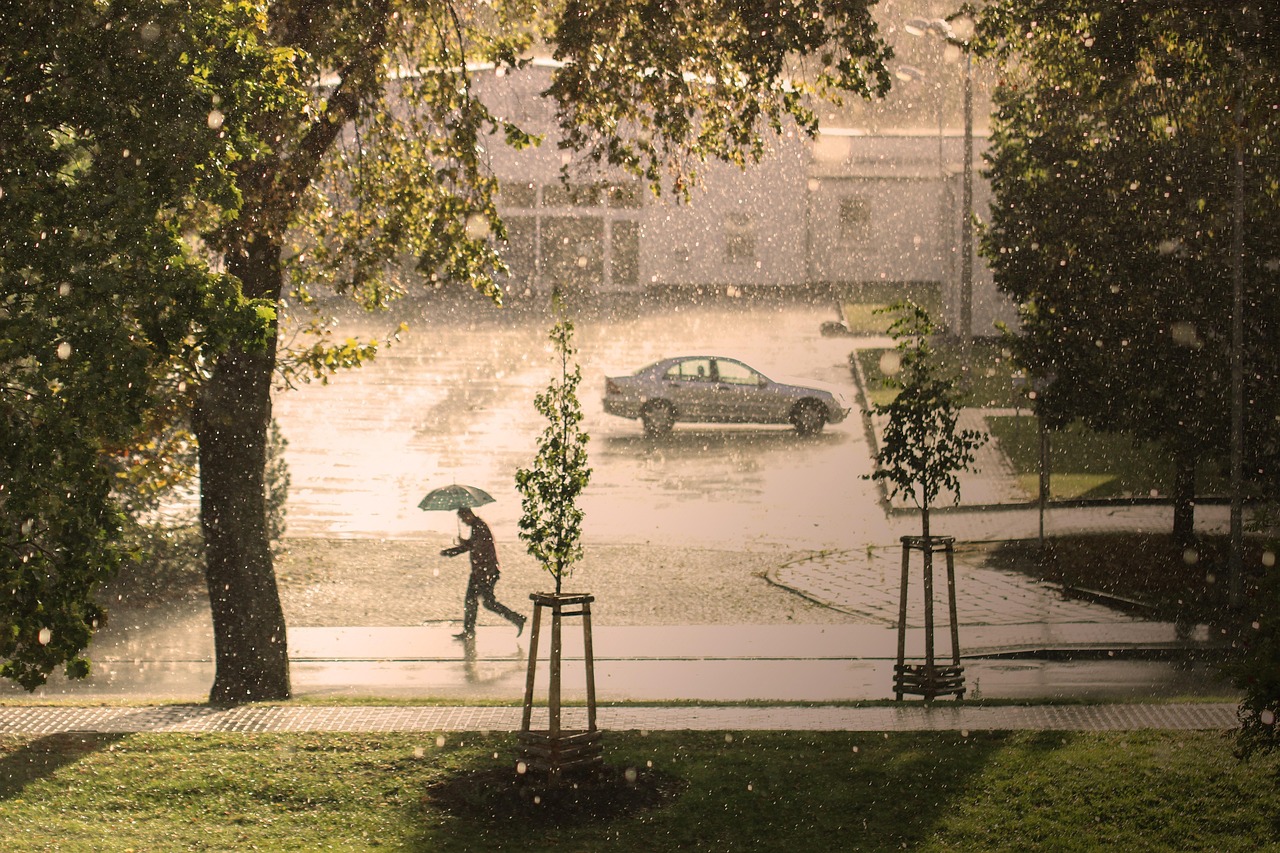 man umbrella rain hail storm nature run thunderstorm precipitate water climate road street urban city