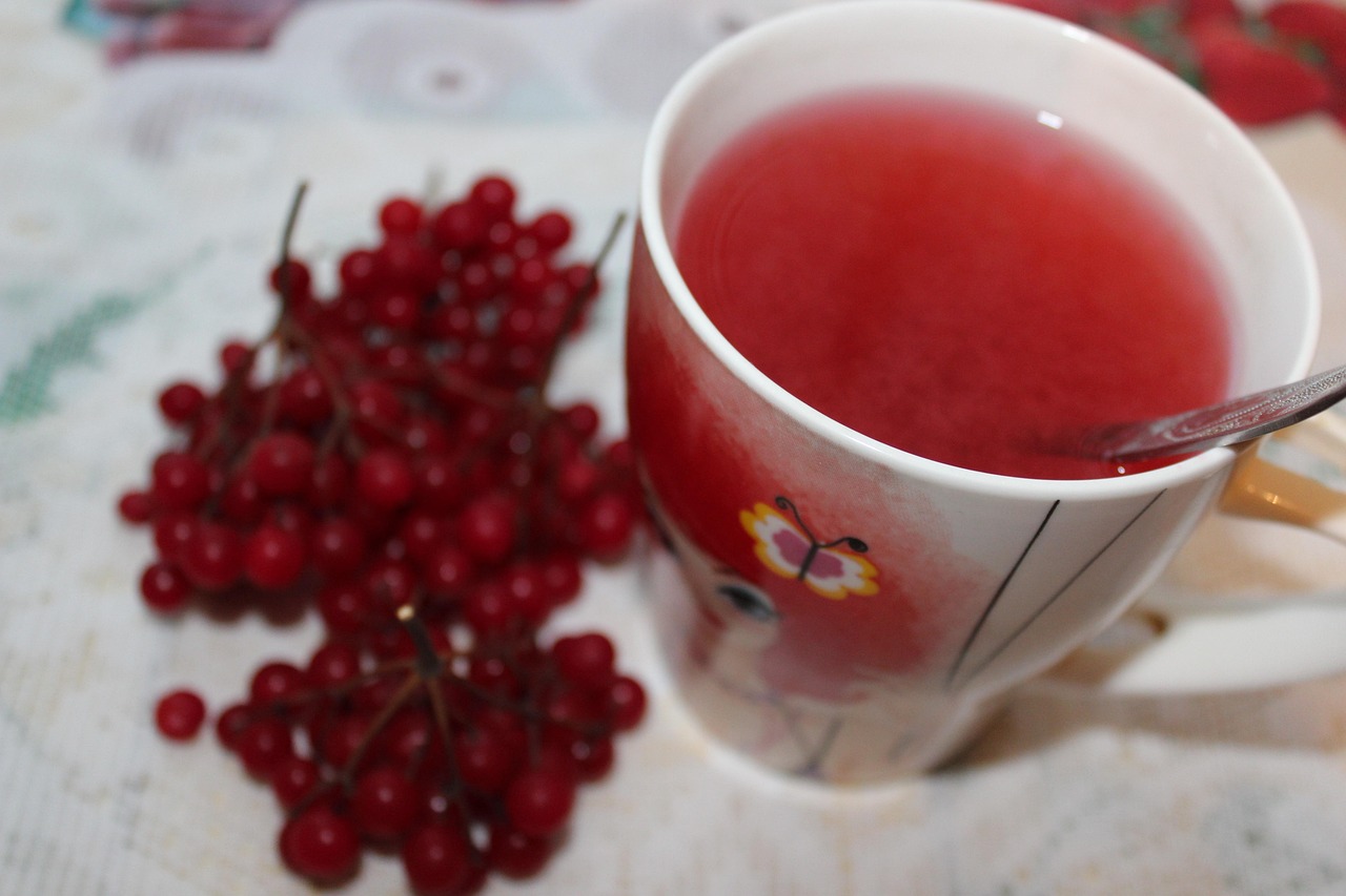 tea viburnum viburnum berries tea with viburnum drinking tea