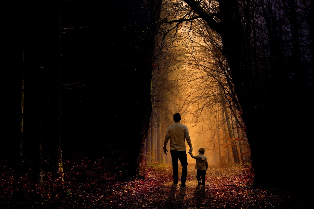 father son walking child boy family parent kid dad childhood holding hands dusk twilight forest nature trees father father father father walking child boy family family family family family dad