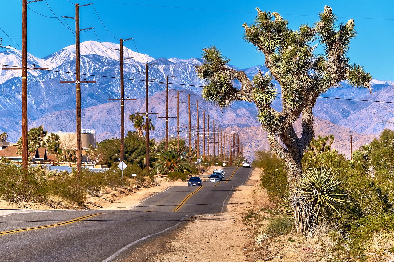 road route avenue asphalt ground wave to travel travel goal heat freedom landscape desert mountains nature covered in snow yucca palm yucca palm lily usa california yucca valley