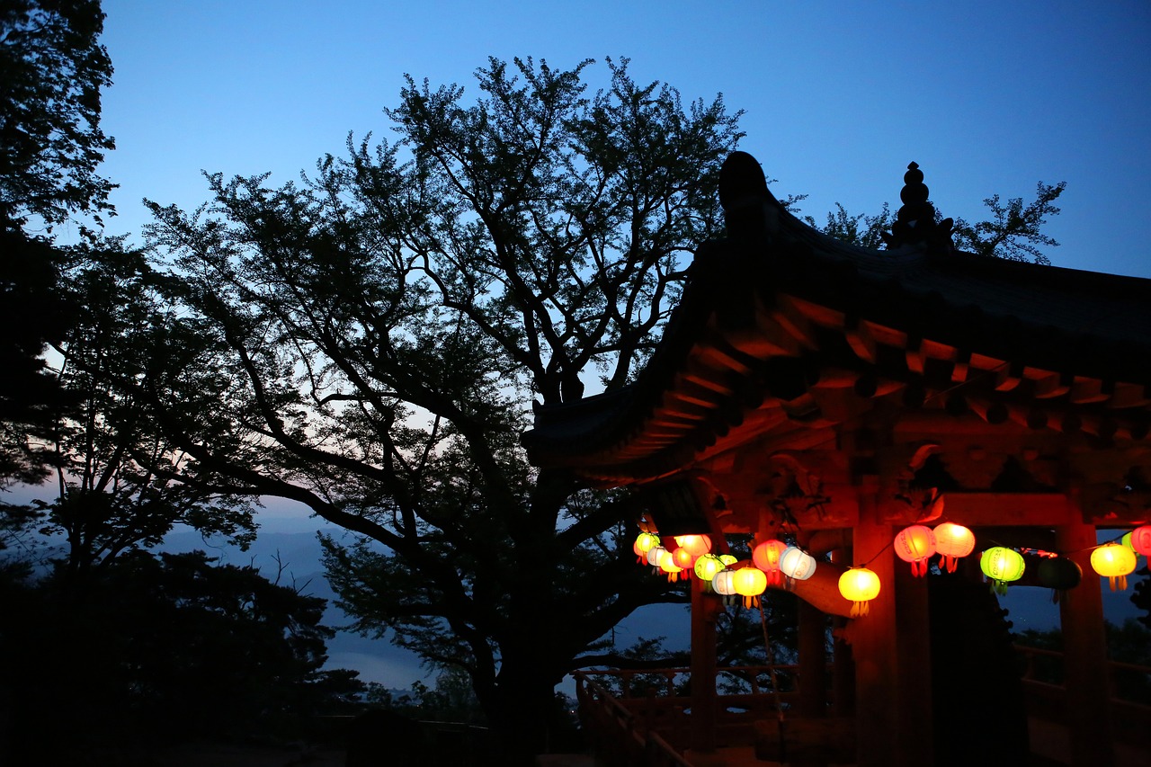 ungilsan can new zelkova dawn buddha's birthday temple section travel landscape zelkova zelkova zelkova zelkova zelkova