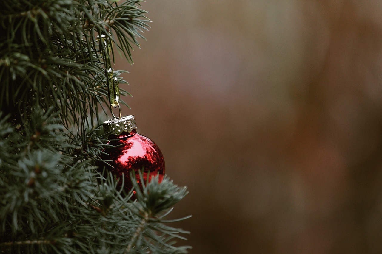 christmas tree fir tree christmas tree bullet christmas balls deco decoration red nature close up christmas time christmas ornament jewellery decorate contemplative needles green christmas christmas christmas christmas christmas christmas tree christmas tree christmas tree christmas tree