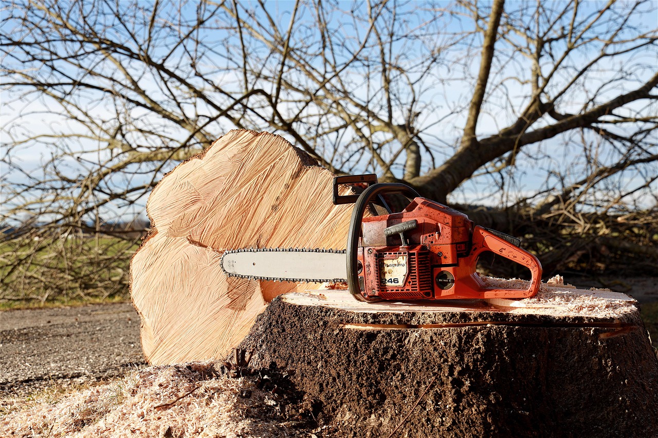chainsaw nature tree tree pruning forest work saw felling woodwork dangerous forestry work like