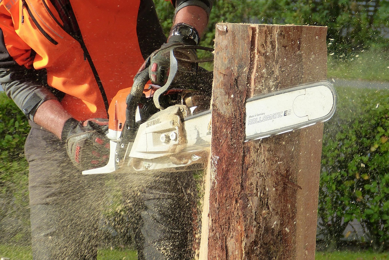 wood chainsaw tree artwork sculpture felling wood art work nature tree pruning
