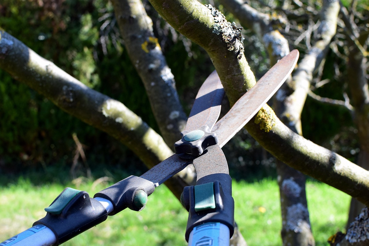 pruning shears nature hedge trimmer tree cutter tree garden