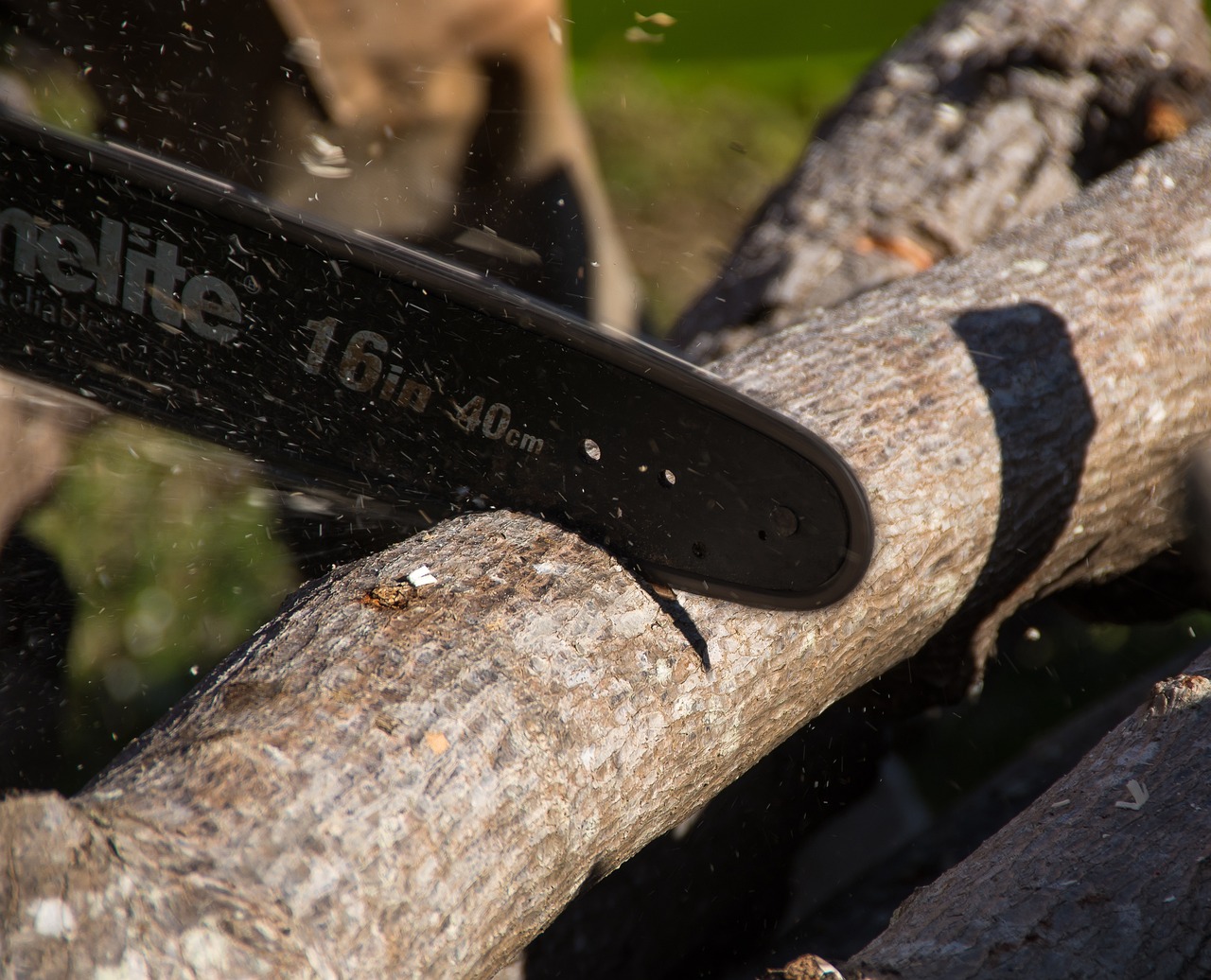 chainsaw saw tool power cutting nature tree branch pruning lopping
