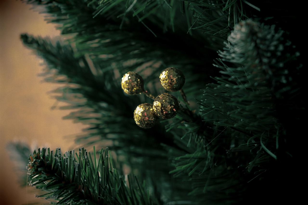 christmas tree spruce christmas decoration green gold evergreen nature coniferous tree december decor