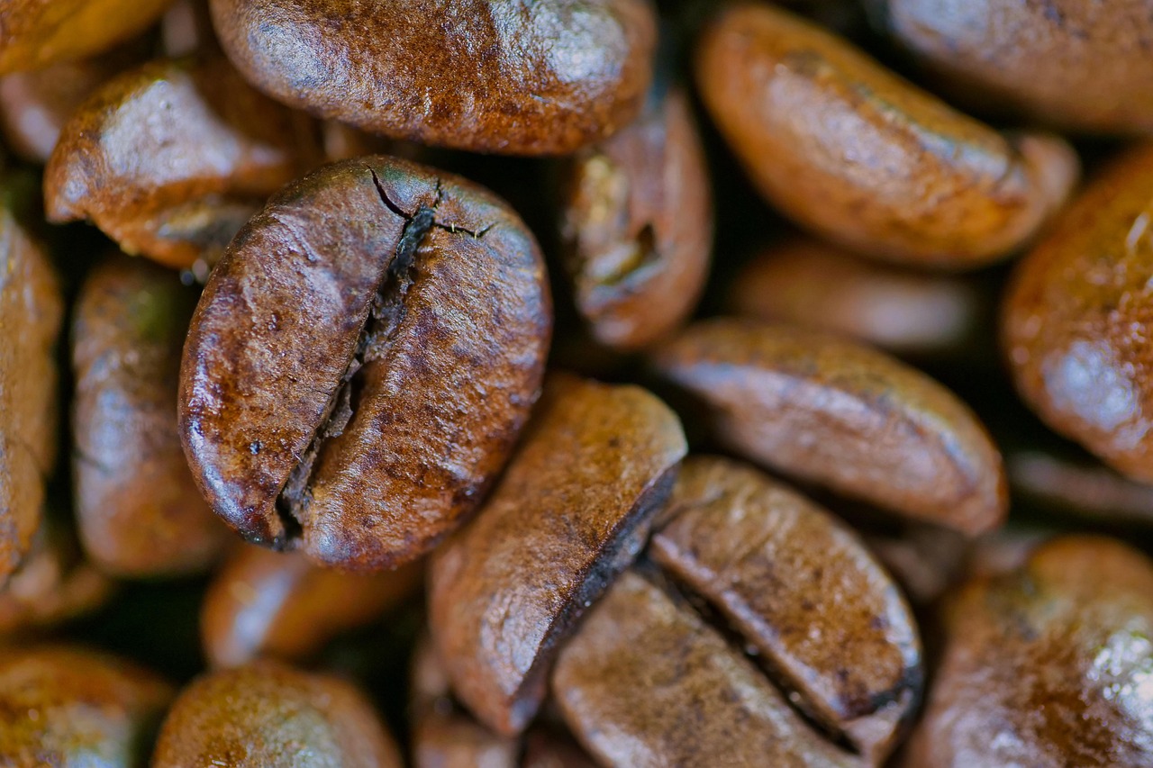 coffee bean caffeine coffee beans coffee shop aroma roasted brown espresso fragrance coffee coffee coffee coffee coffee beans coffee beans coffee beans coffee beans coffee beans coffee shop coffee shop coffee shop