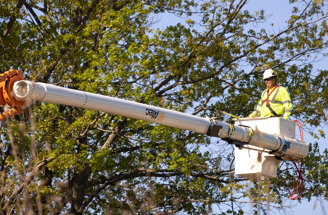 arborist pruning worker trees labor nature trimmer